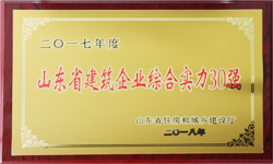 泰安井蓋廠家